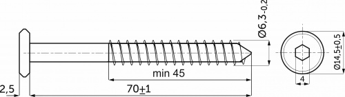 Шуруп для дерева 6,3*70 жёлтый цинк (уп / 1 тыс.шт.) AKS_2