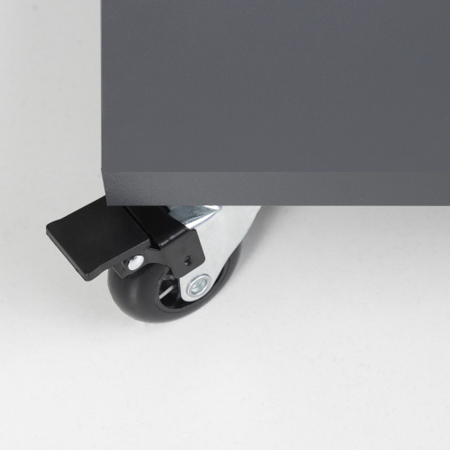 Колесо меб. CRYSTAL/2 d50 h67 с площадкой с торм., черный AKS_3