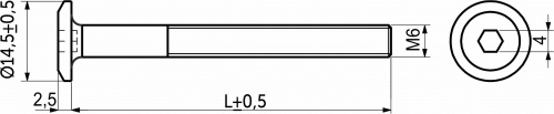 Винт с плоской головкой М6*80 под шестигранник, неполн. резьба, желтый цинк (уп/1тыс.шт) AKS_2