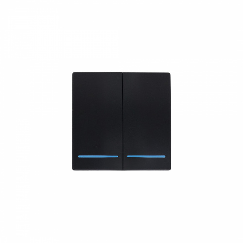 Выключатель беспроводной, с реле, 2 клавиши, черный, AKS_1