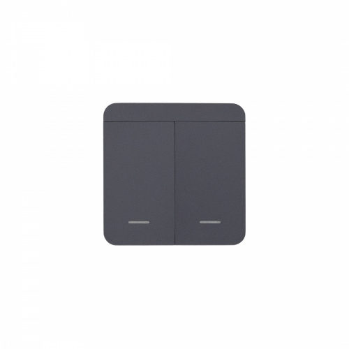 Выключатель беспроводной, с реле, 2 клавиши, графит, AKS_1