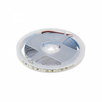 Лента светодиодная - 9,6W/m, 12V, 8мм, 2835, 120 д/м, IP20, холодный белый (6000K) - 5м, AKS фотография