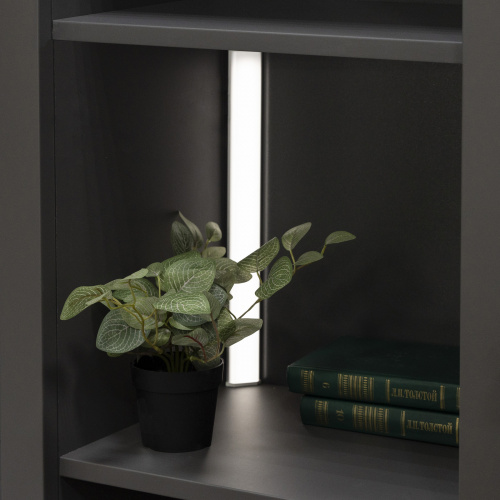 Светильник светодиодный Luminara, аккумуляторный, на движение, 3W, 400 мм, алюминий, AKS_4