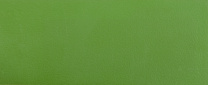 Кромка ПВХ зелёный мамба 19/0,4 (M7190) Cromlex (1б=0,2пог.км.) фотография