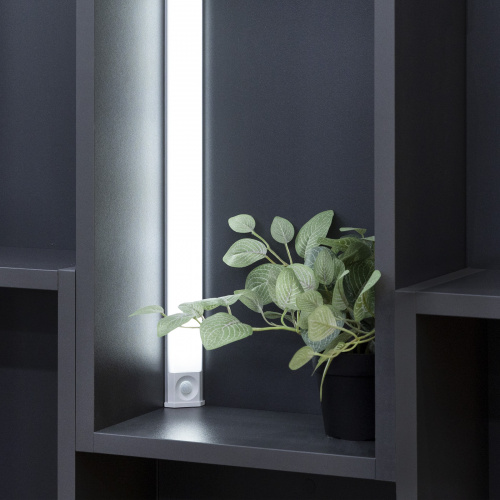 Светильник светодиодный Luminara, аккумуляторный, на движение, 4W, 600 мм, алюминий, AKS_4