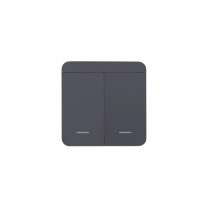 Выключатель беспроводной, с реле, 2 клавиши, графит, AKS