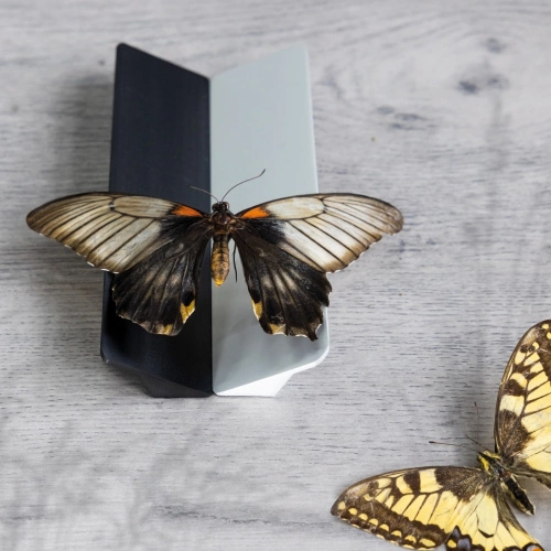 Ручка меб. скоба алюм. ELBRUS 96/106 алюминий, AKS_5