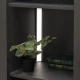 Светильник светодиодный Luminara, аккумуляторный, на движение, 3W, 400 мм, алюминий, AKS_preview_1