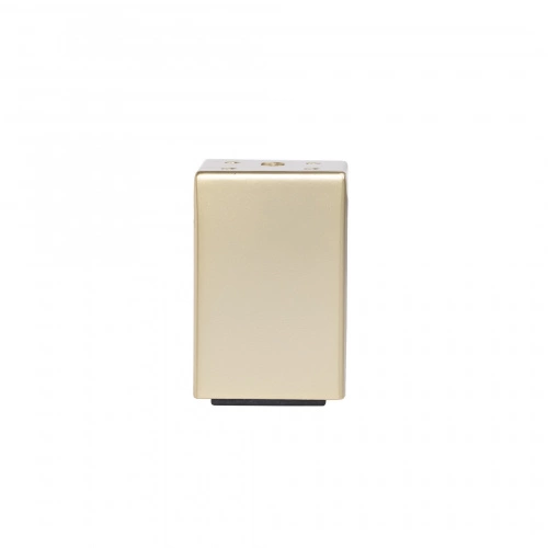 Опора меб. мет. WALL h120 матовое золото AKS_3